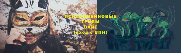 дурь Алексин