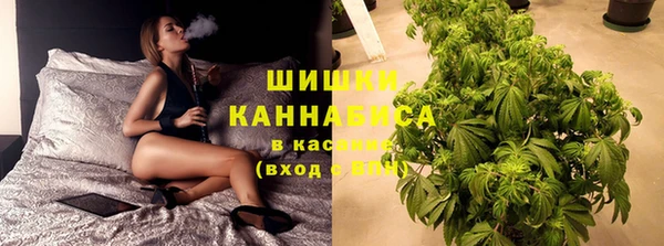 дурь Алексин